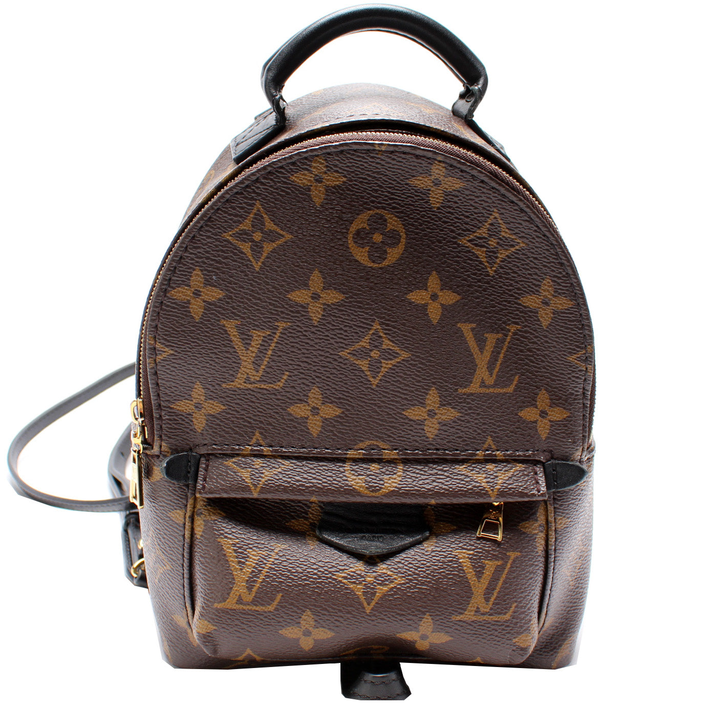 Louis Vuitton Palm Springs Mini Monogram