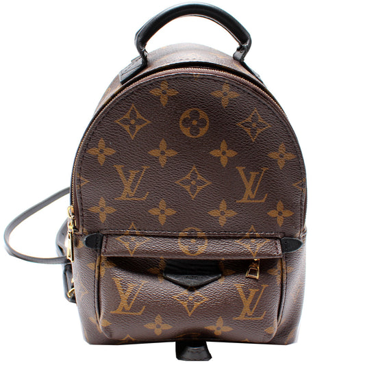 Louis Vuitton Palm Springs Mini Monogram