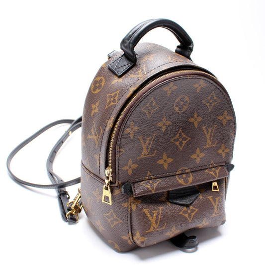 Louis Vuitton Palm Springs Mini Monogram