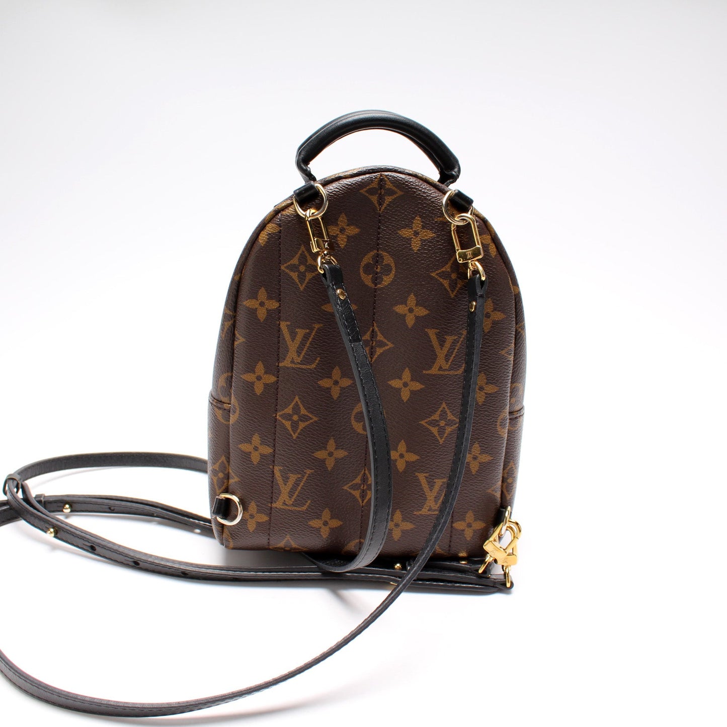 Louis Vuitton Palm Springs Mini Monogram