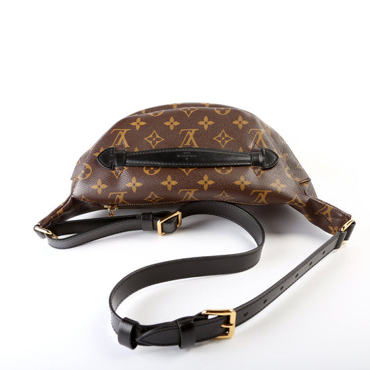 Louis Vuitton Bumbag Monogram World Tour