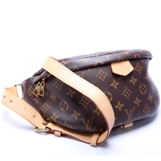 Louis Vuitton Bumbag Monogram