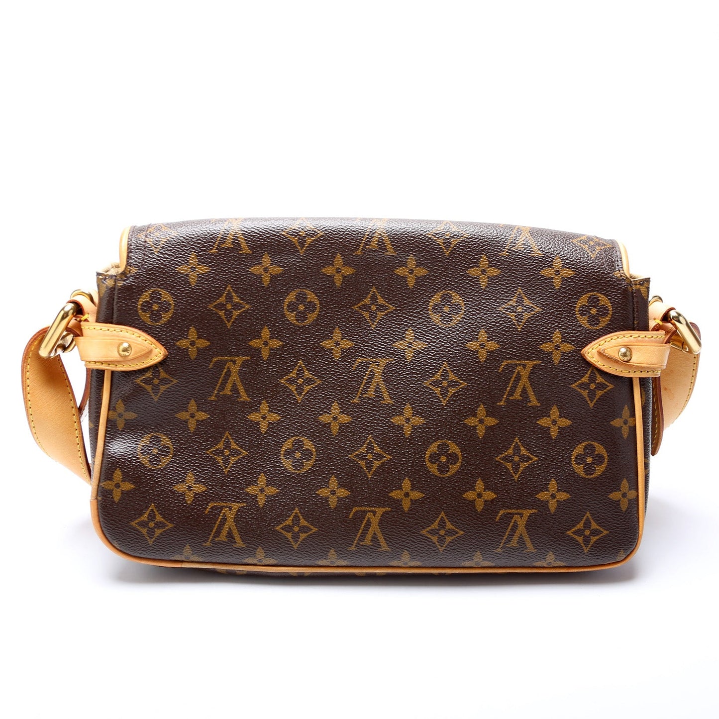Louis Vuitton Hudson PM Monogram