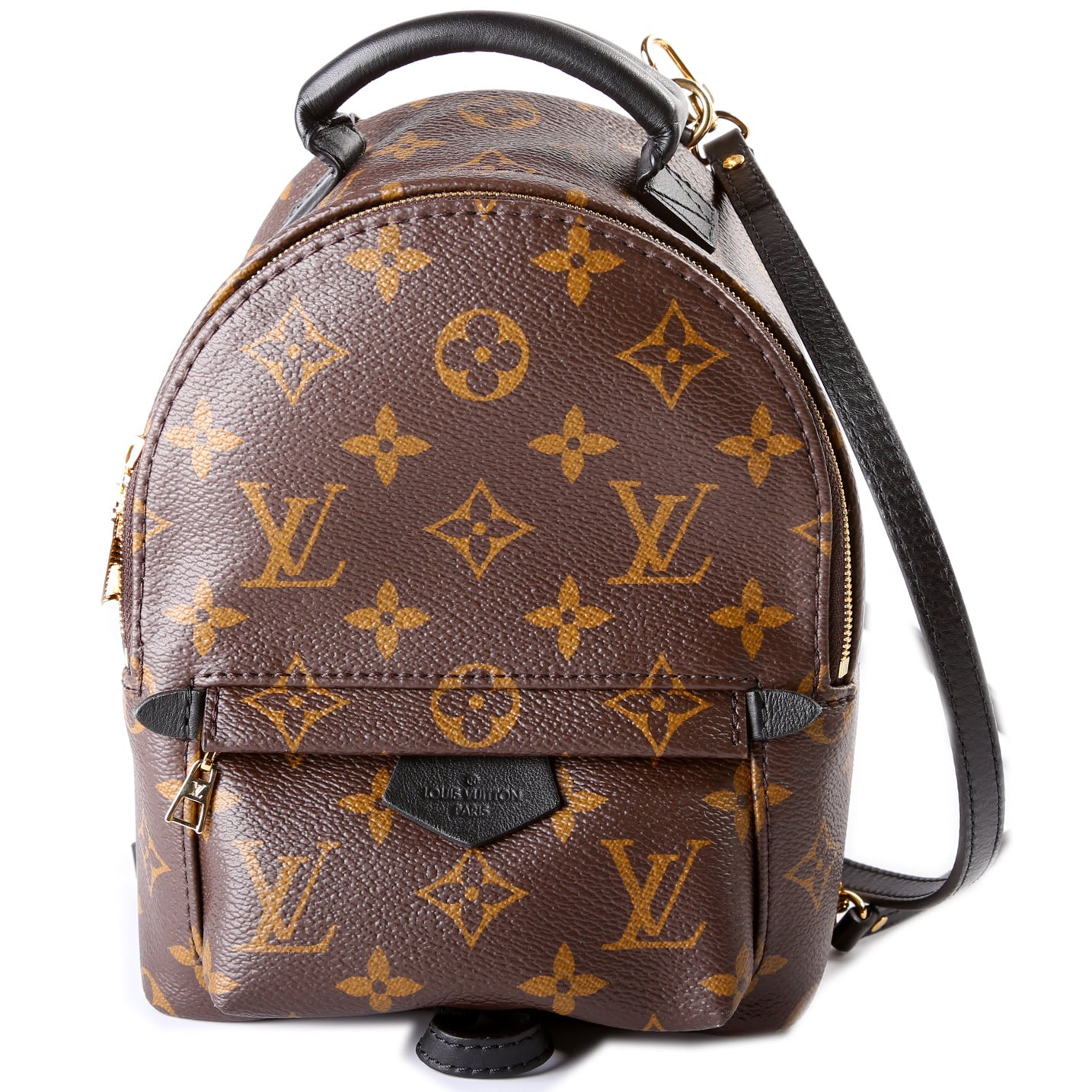 Louis Vuitton Palm Springs Mini Monogram