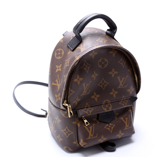 Louis Vuitton Palm Springs Mini Monogram