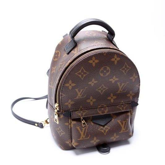 Louis Vuitton Palm Springs Mini NV Monogram