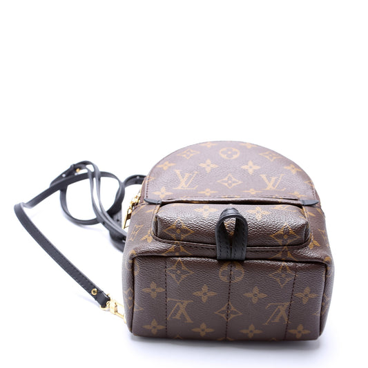 Louis Vuitton Palm Springs Mini NV Monogram