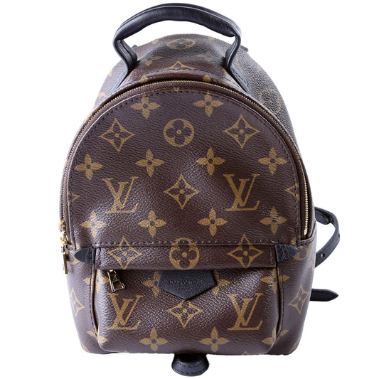 Louis Vuitton Palm Springs Mini Monogram