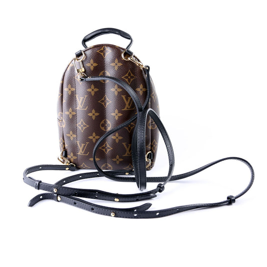 Louis Vuitton Palm Springs Mini Monogram