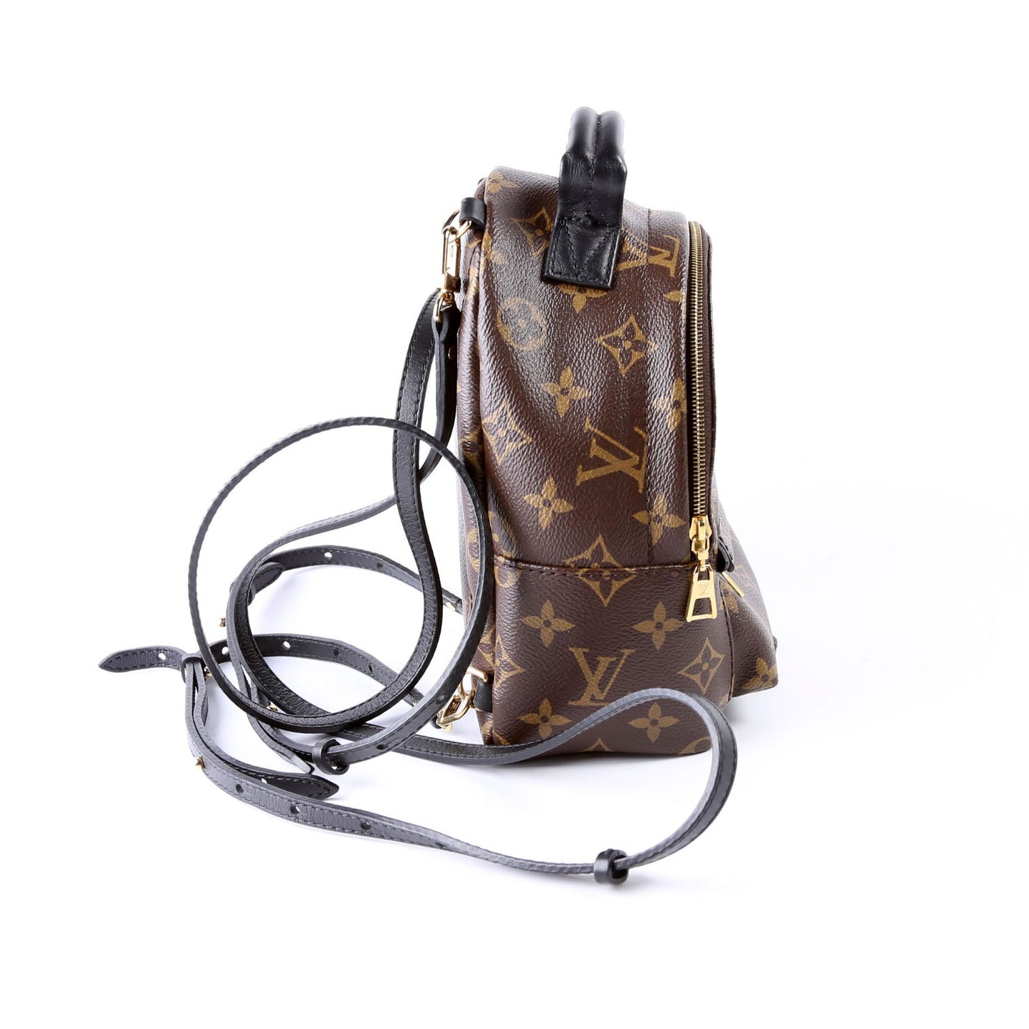 Louis Vuitton Palm Springs Mini Monogram