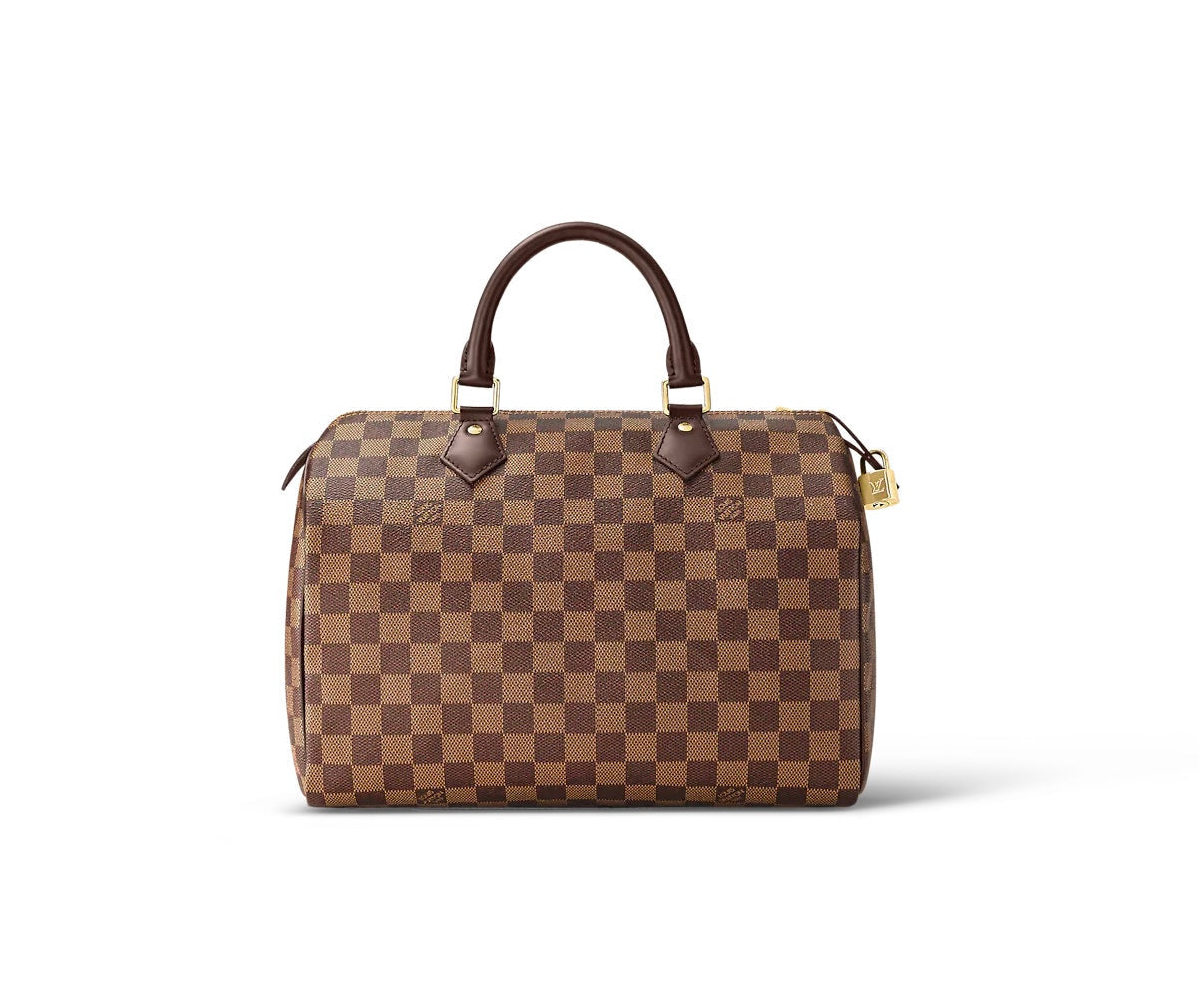 Louis Vuitton Damier speedy 30