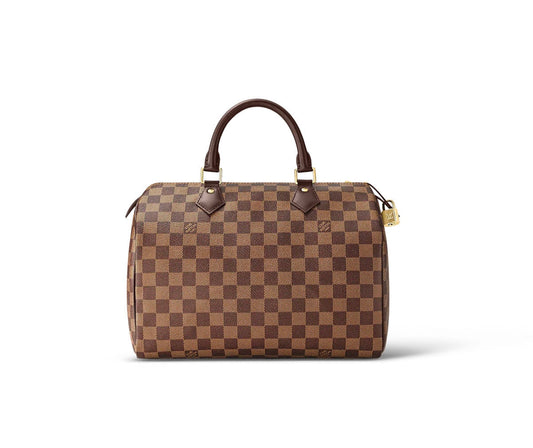 Louis Vuitton Damier speedy 30