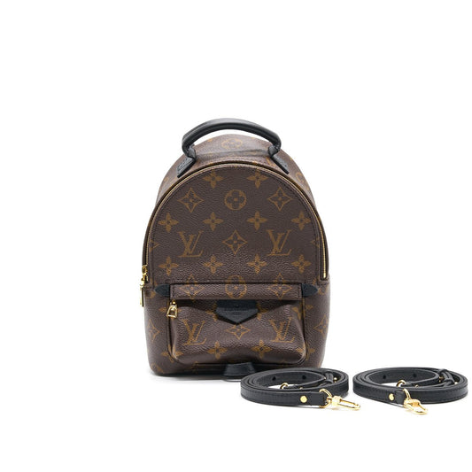 Louis Vuitton Palm Springs Mini