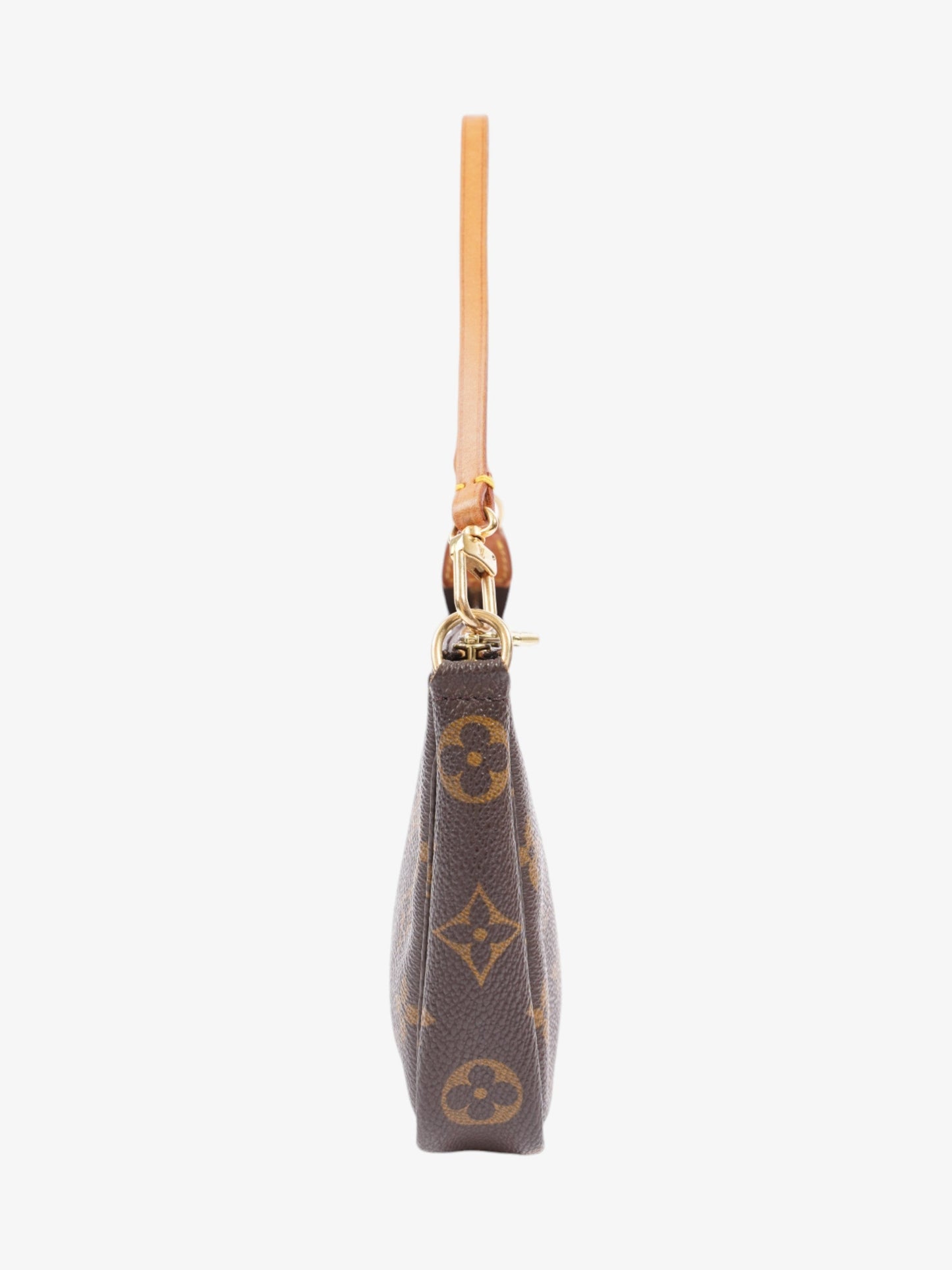 Louis Vuitton Pochette Accessoires Monogram Coated Canvas