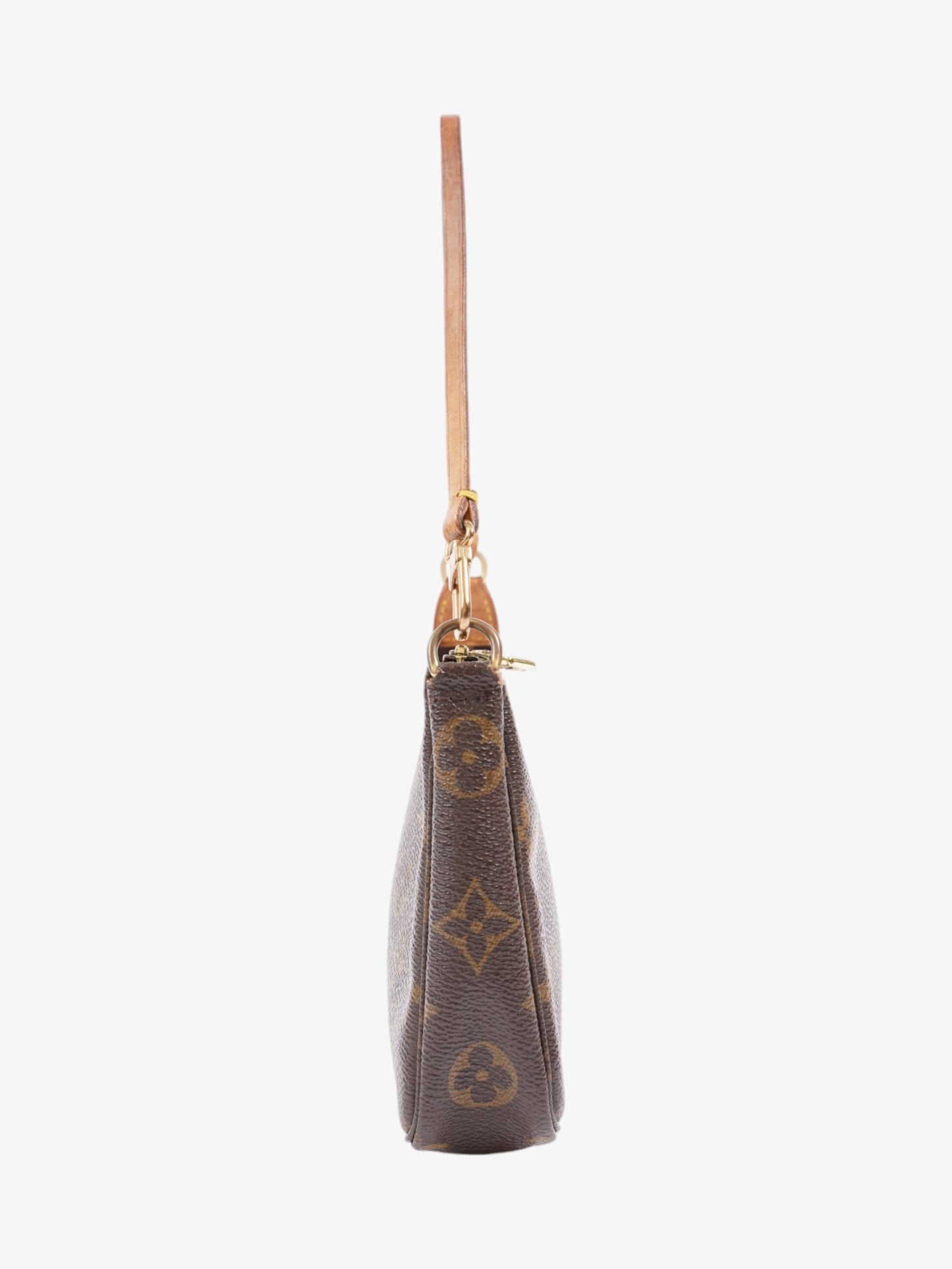 Louis Vuitton Pochette Accessoires Monogram Coated Canvas