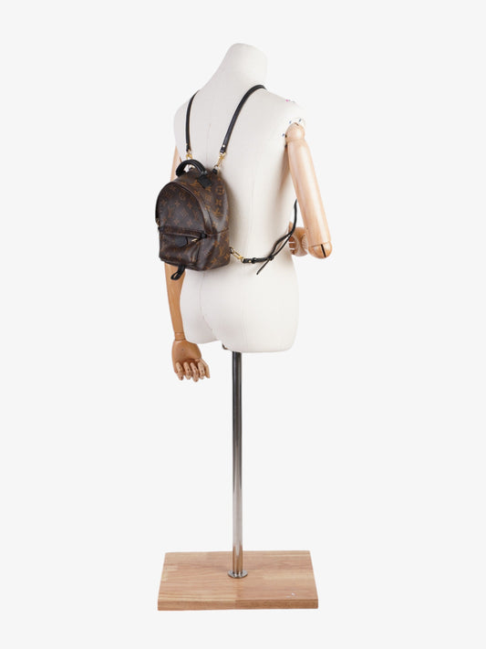 Louis Vuitton Palm Springs Monogram Coated Canvas Mini