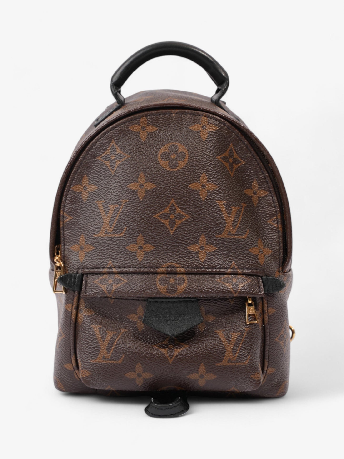 Louis Vuitton Palm Springs Monogram Coated Canvas Mini