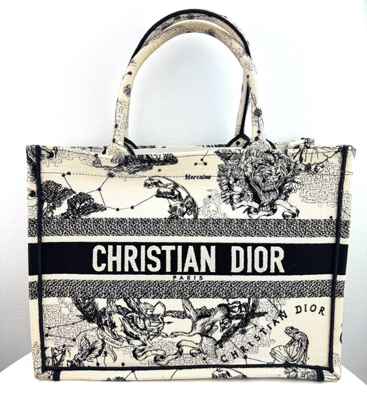 Dior Canvas Embroidered Small Toile De Jouy Book Tote Latte