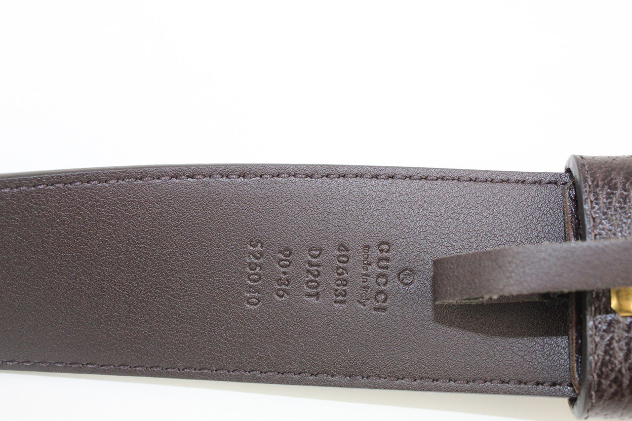 Gucci Wide Leather Belt in Dark Brown