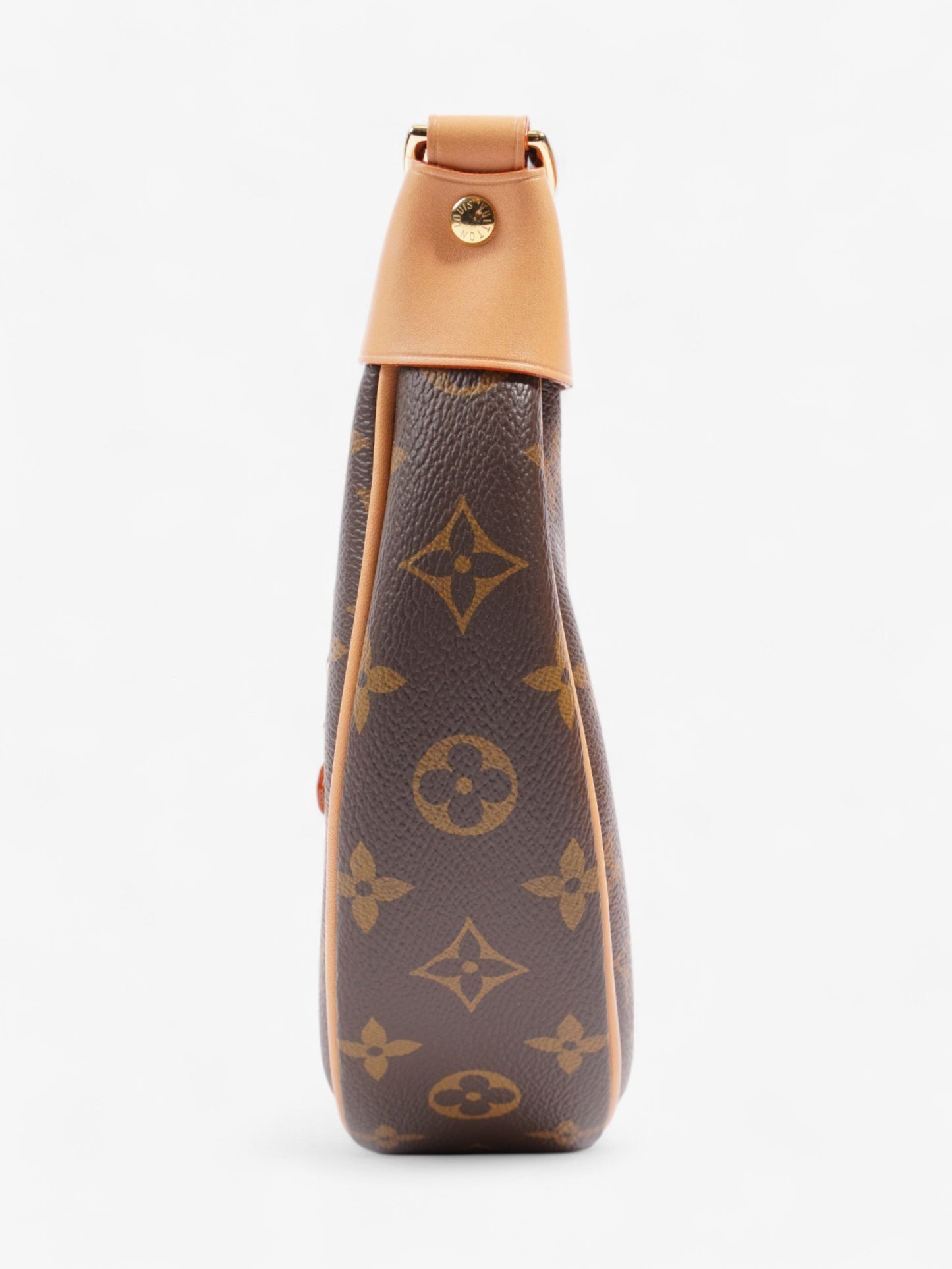 Louis Vuitton LV Monogram Loop bag Monogram Coated Canvas