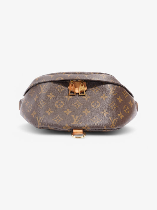 Louis Vuitton Bumbag Monogram Coated Canvas
