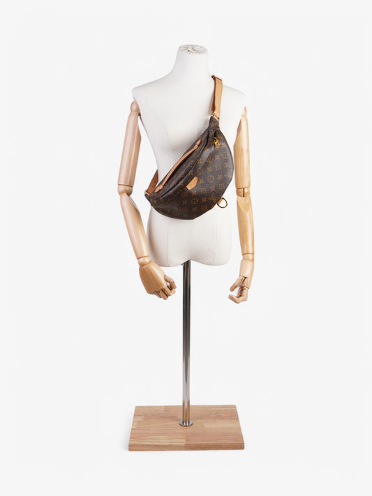 Louis Vuitton Bumbag Monogram Coated Canvas
