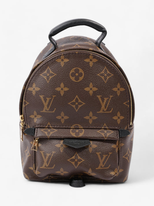 Louis Vuitton Palm Springs Monogram Coated Canvas Mini