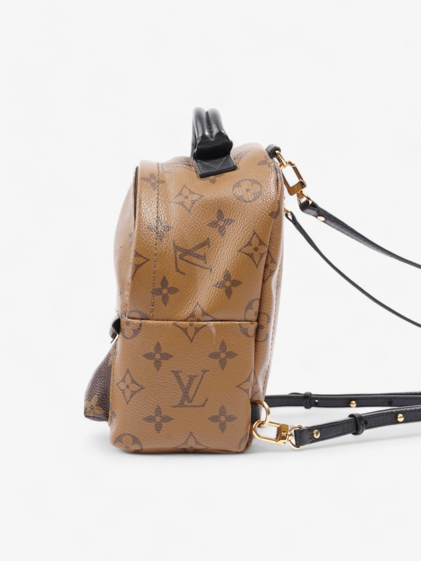 Louis Vuitton Palm Springs Monogram Coated Canvas Mini