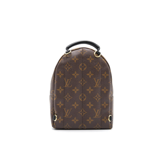 Louis Vuitton Palm Springs Mini