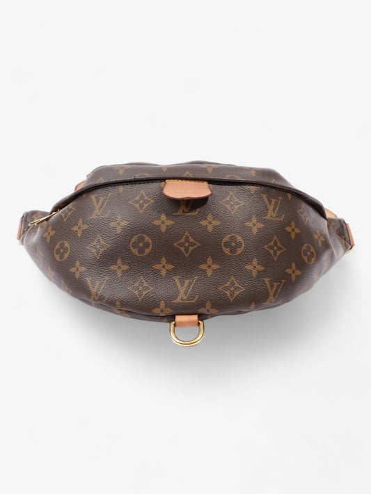 Louis Vuitton Bumbag Monogram Coated Canvas