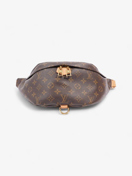 Louis Vuitton Bum Bag Monogram Coated Canvas