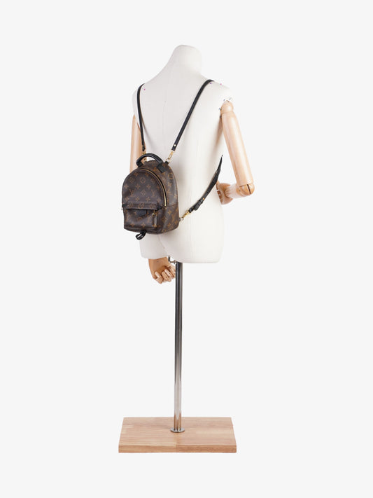 Louis Vuitton Palm Springs Monogram Coated Canvas