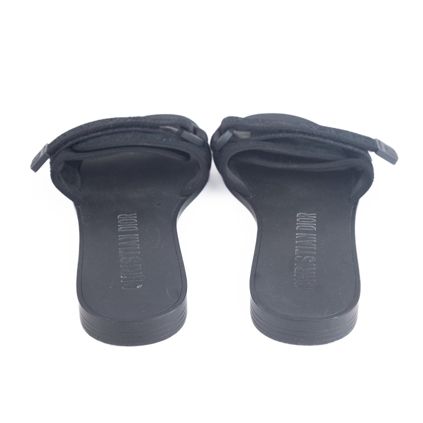 Dior (R)evolution Slides